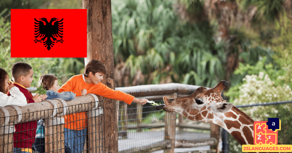Learn Albanian - Phrases in the zoo