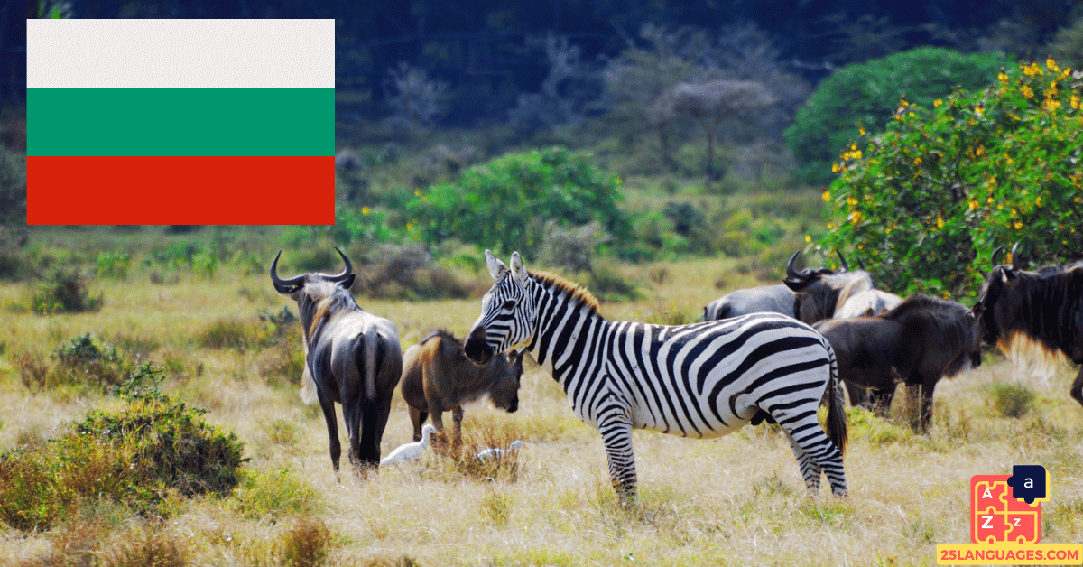 Learn Bulgarian - Animals