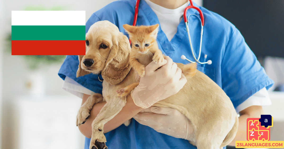Learn Bulgarian - Phrases At the veterinarian