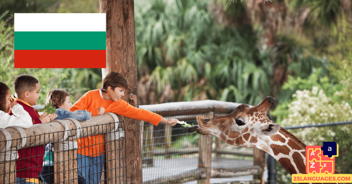Learn Bulgarian - Phrases in the zoo