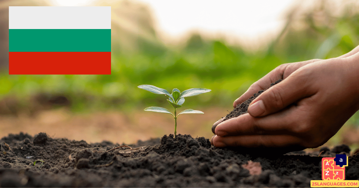 Learn Bulgarian - Plants