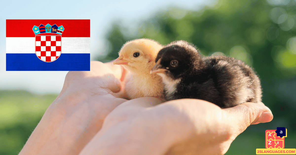 Learn Croatian - Names of Young Animals