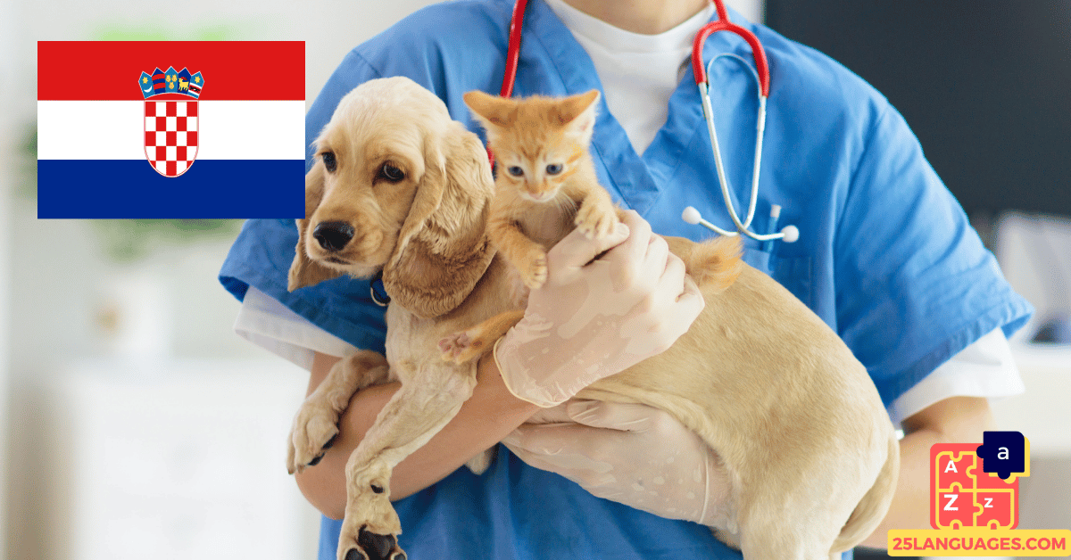 Learn Croatian - Phrases At the veterinarian