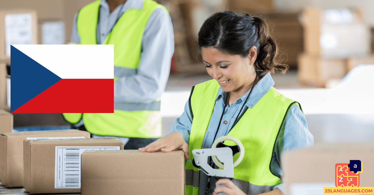 Learn Czech - Packaging