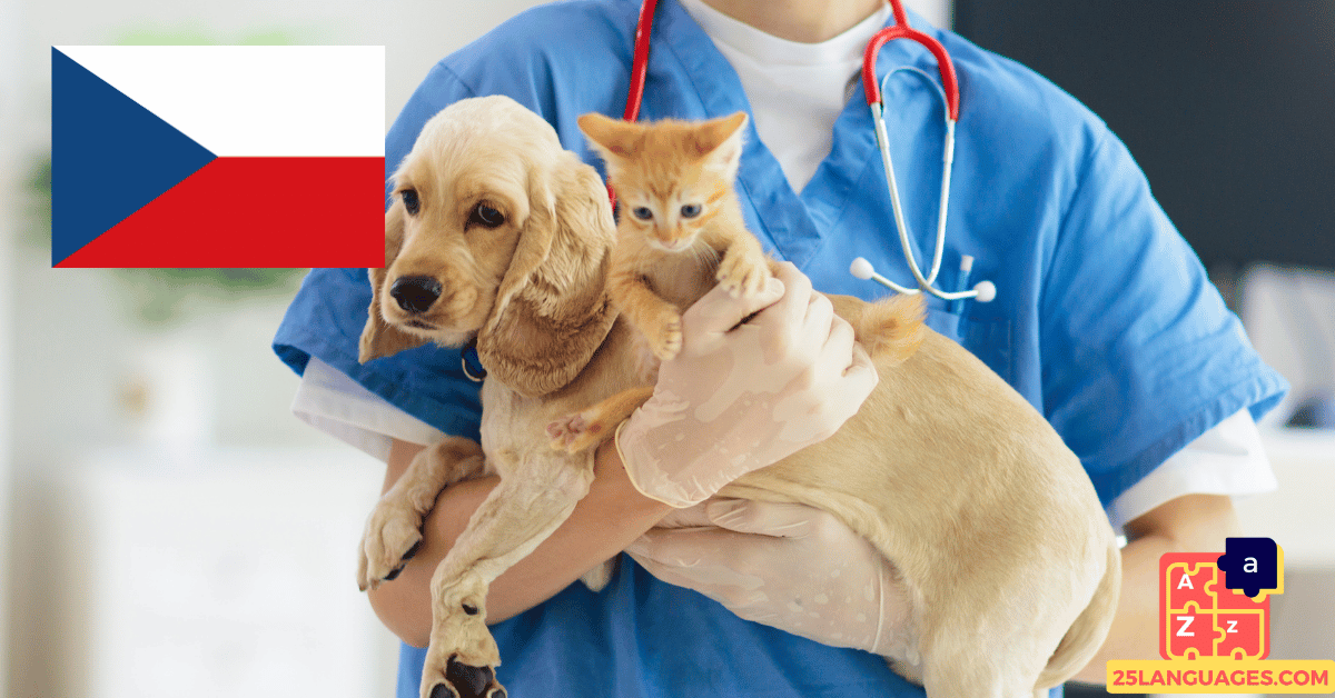 Learn Czech - Phrases At the veterinarian