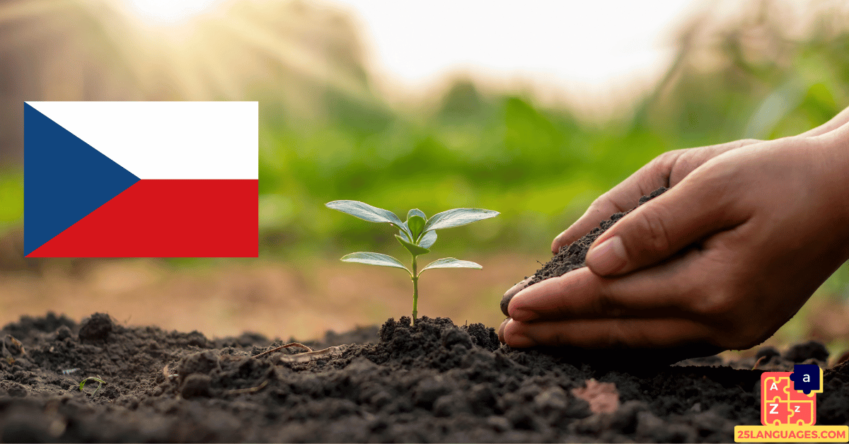Learn Czech - Plants