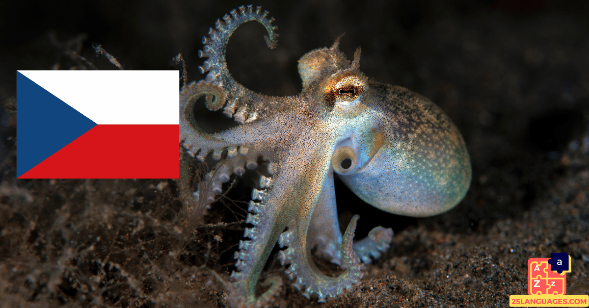 Learn Czech - Names of Marine Creatures