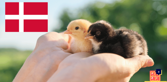 Learn Danish - Names of Young Animals