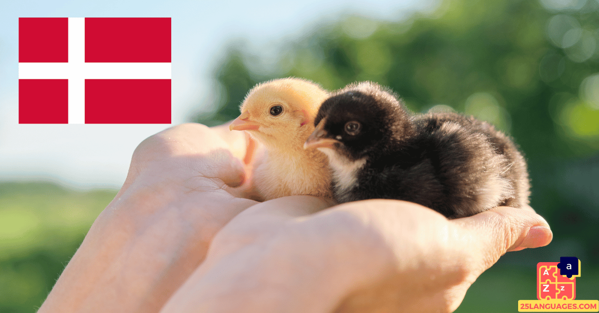 Learn Danish - Names of Young Animals