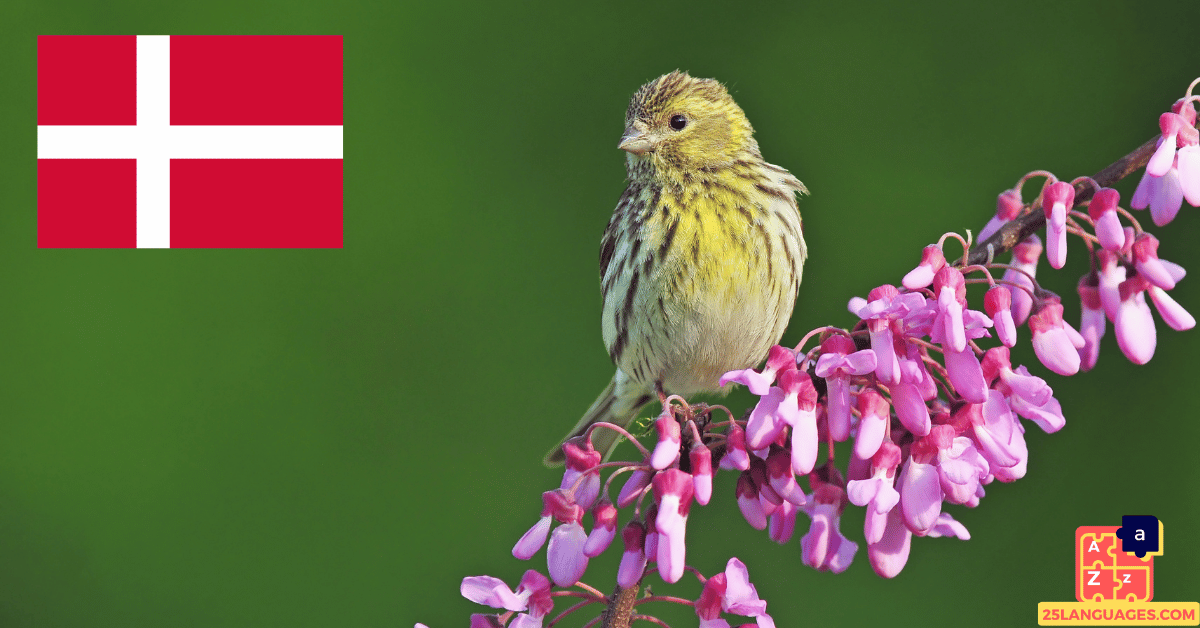 Learn Danish - Birds Names