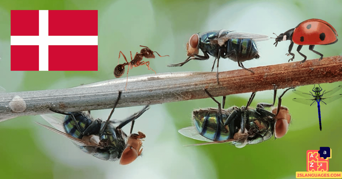 Apprendre le danois - Insectes