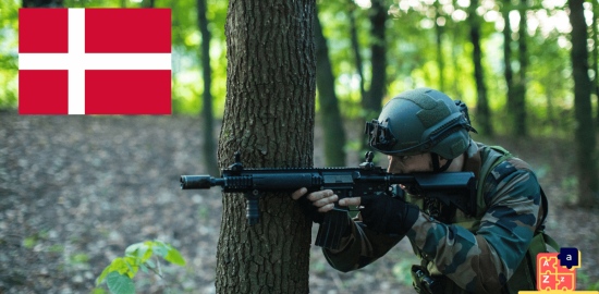 Learn Danish - Military System