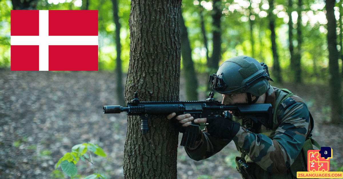 Learn Danish - Military System