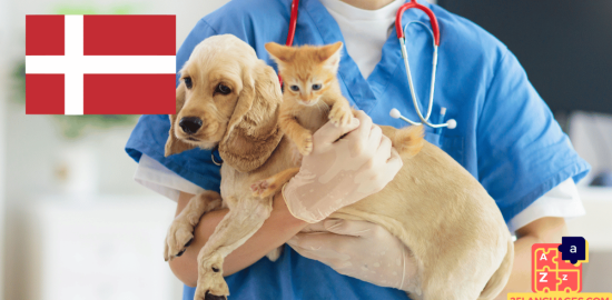 Learn Danish - Phrases At the veterinarian