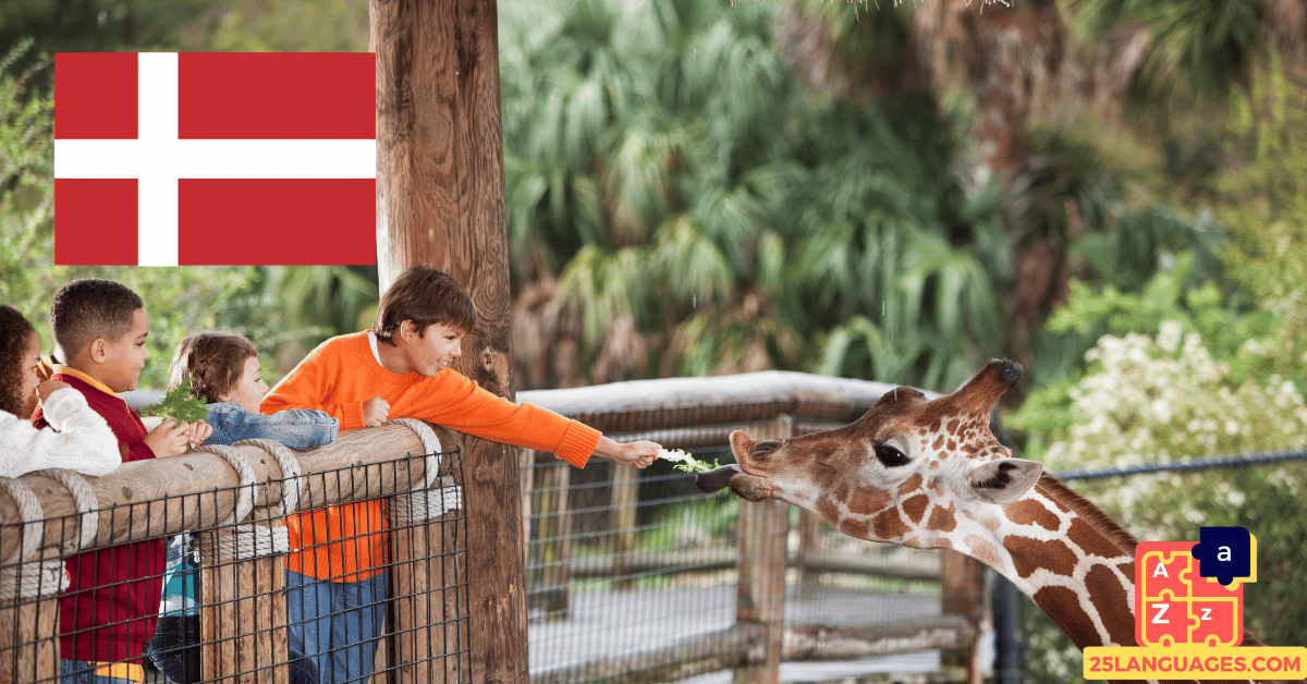 Learn Danish - Phrases At the zoo