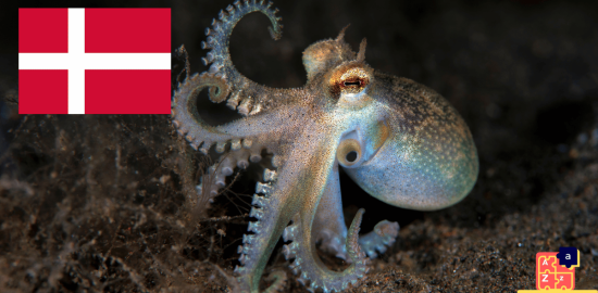 Learn Danish - Names of Marine Creatures