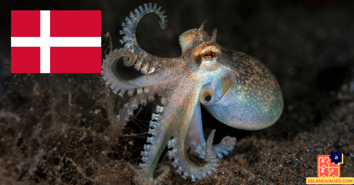 Learn Danish - Names of Marine Creatures