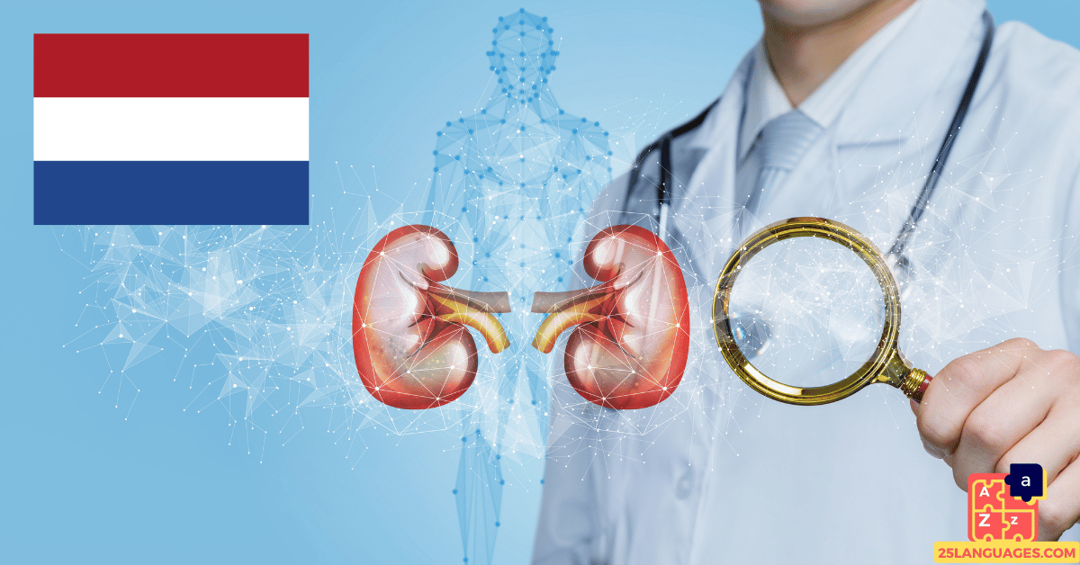 Learn Dutch - Diseases