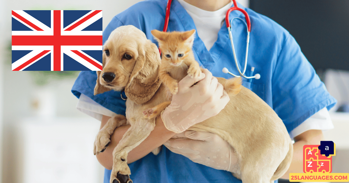 Learn English - Phrases At the veterinarian