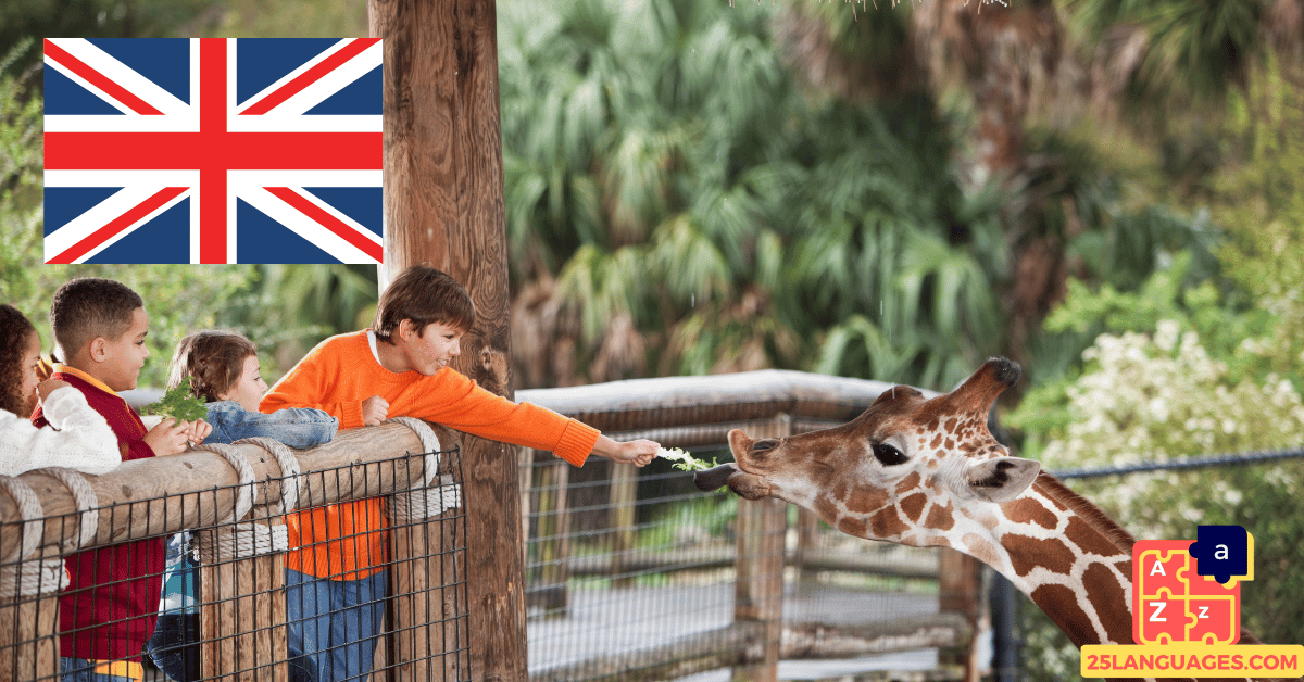 Learn English - Phrases At the zoo