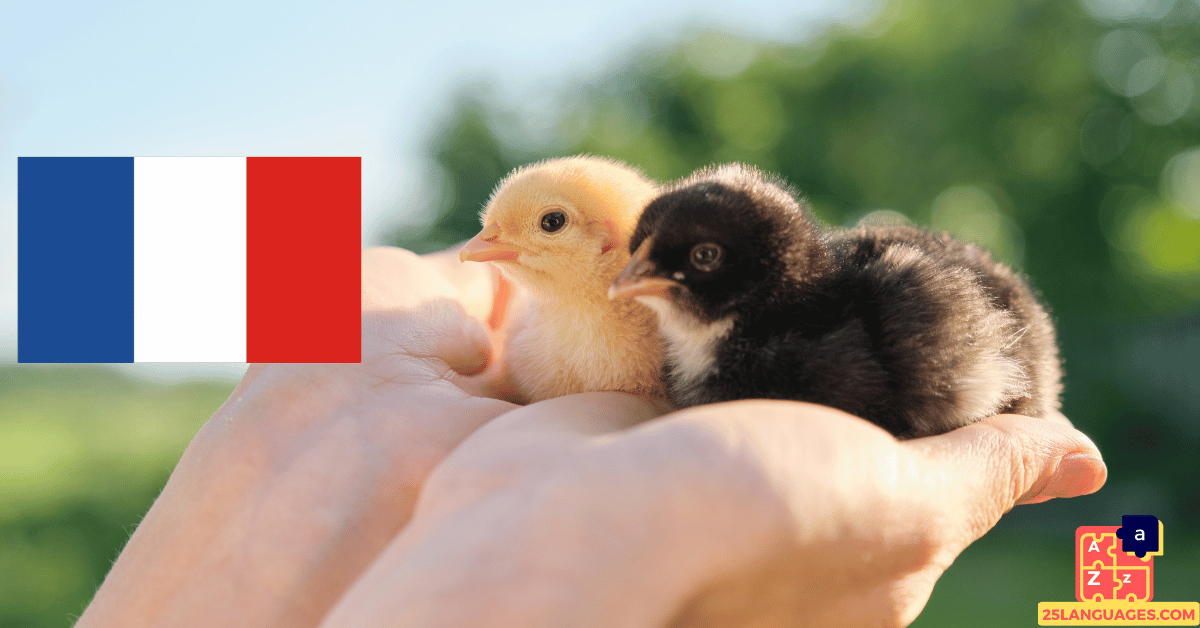 Apprendre le français - Noms des petits animaux