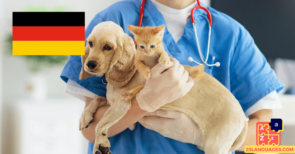 Learn German - Phrases At the veterinarian