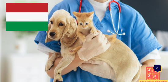Learn Hungarian - Phrases At the veterinarian