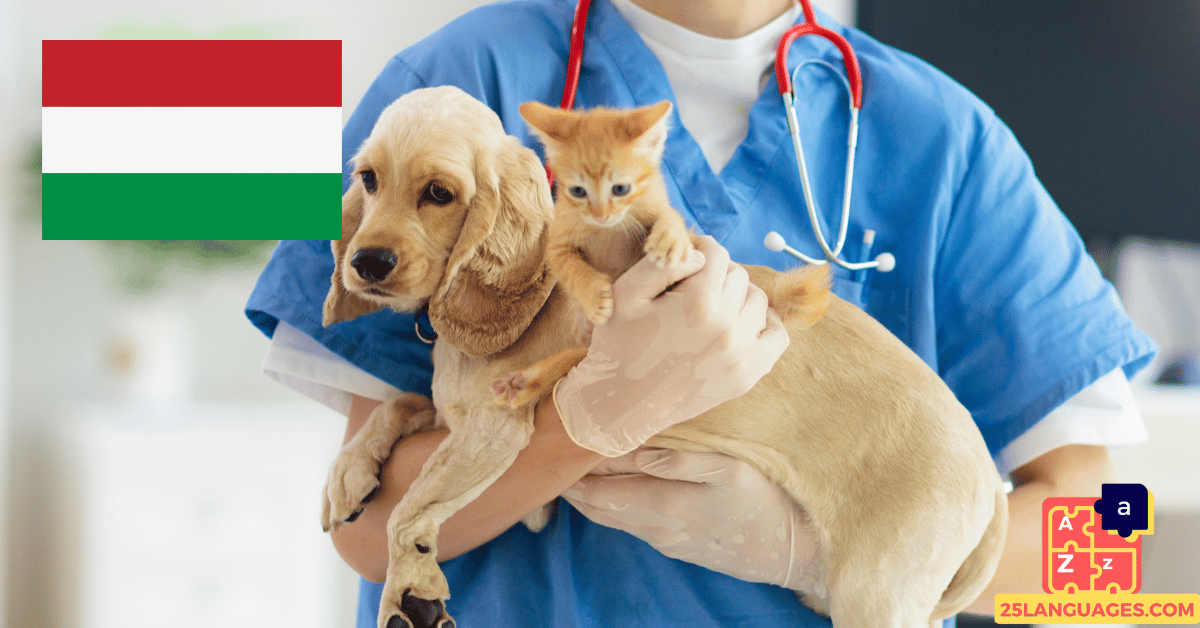 Learn Hungarian - Phrases At the veterinarian