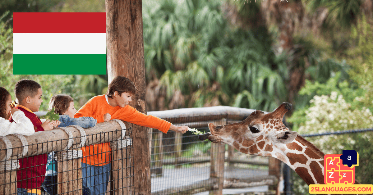 Learn Hungarian - Phrases in the zoo