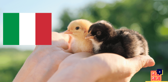 Apprendre l'italien - Noms des petits animaux