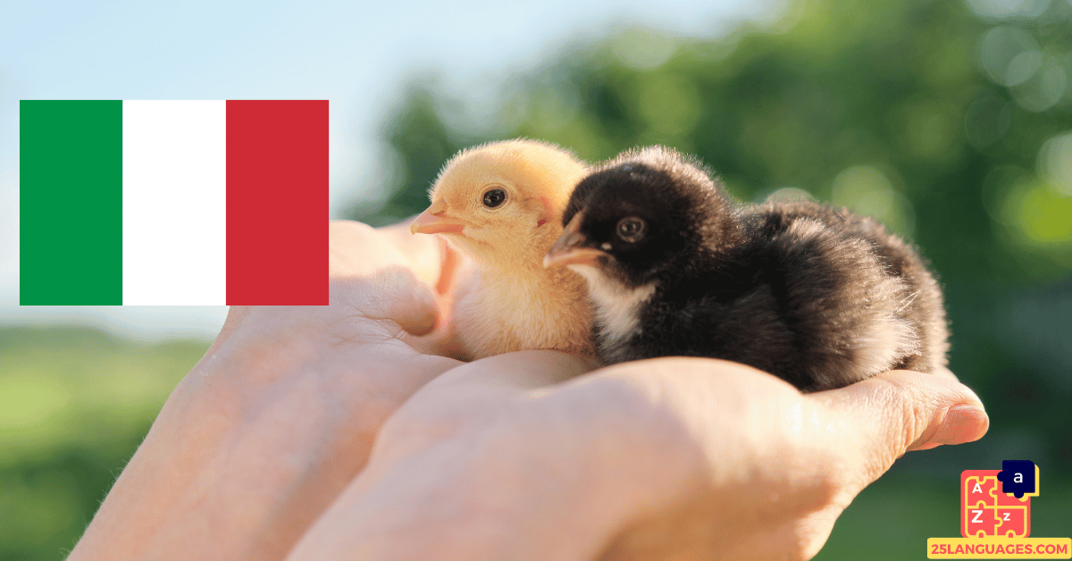 Apprendre l'italien - Noms des petits animaux