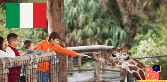 Apprendre l'italien - Phrases au zoo