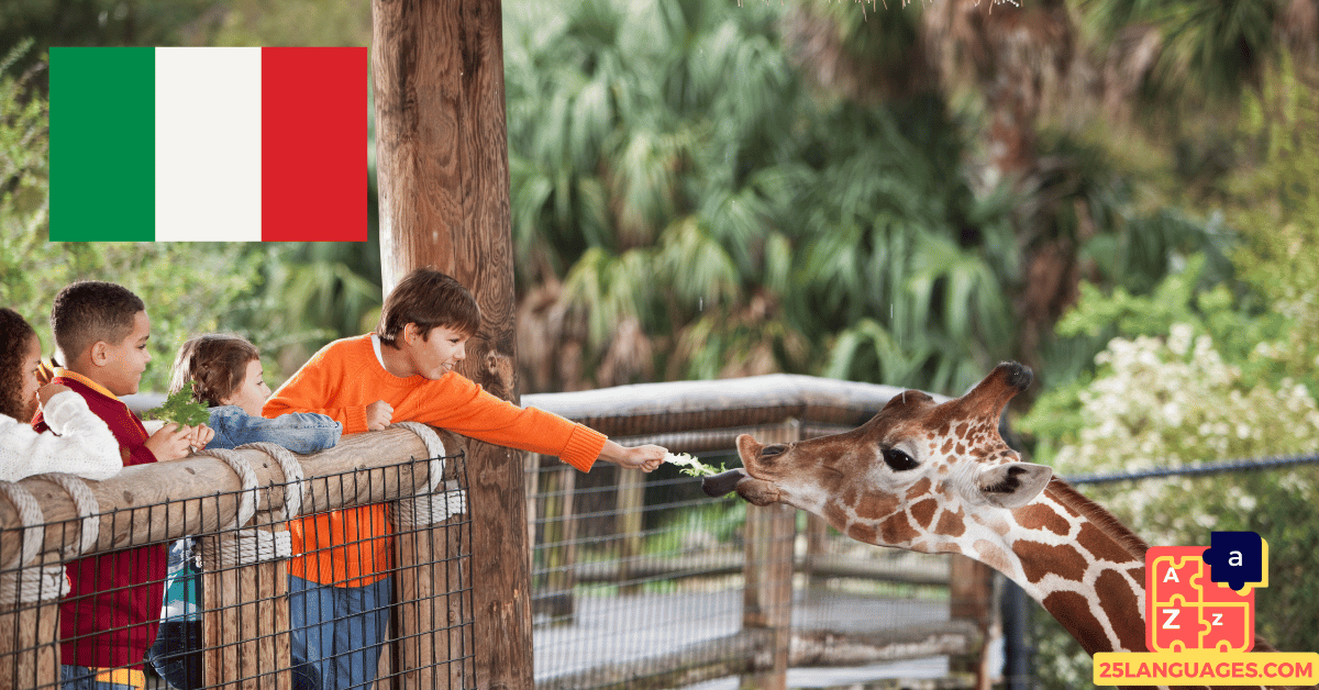 Apprendre l'italien - Phrases au zoo