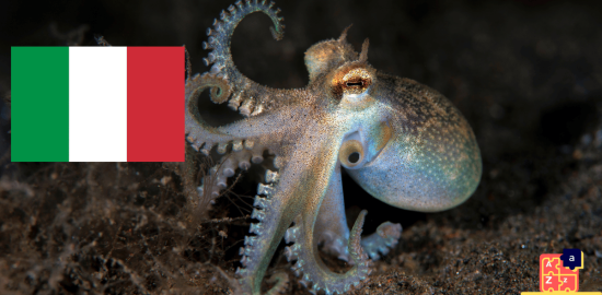 Apprendre l'italien - Noms des créatures maritimes