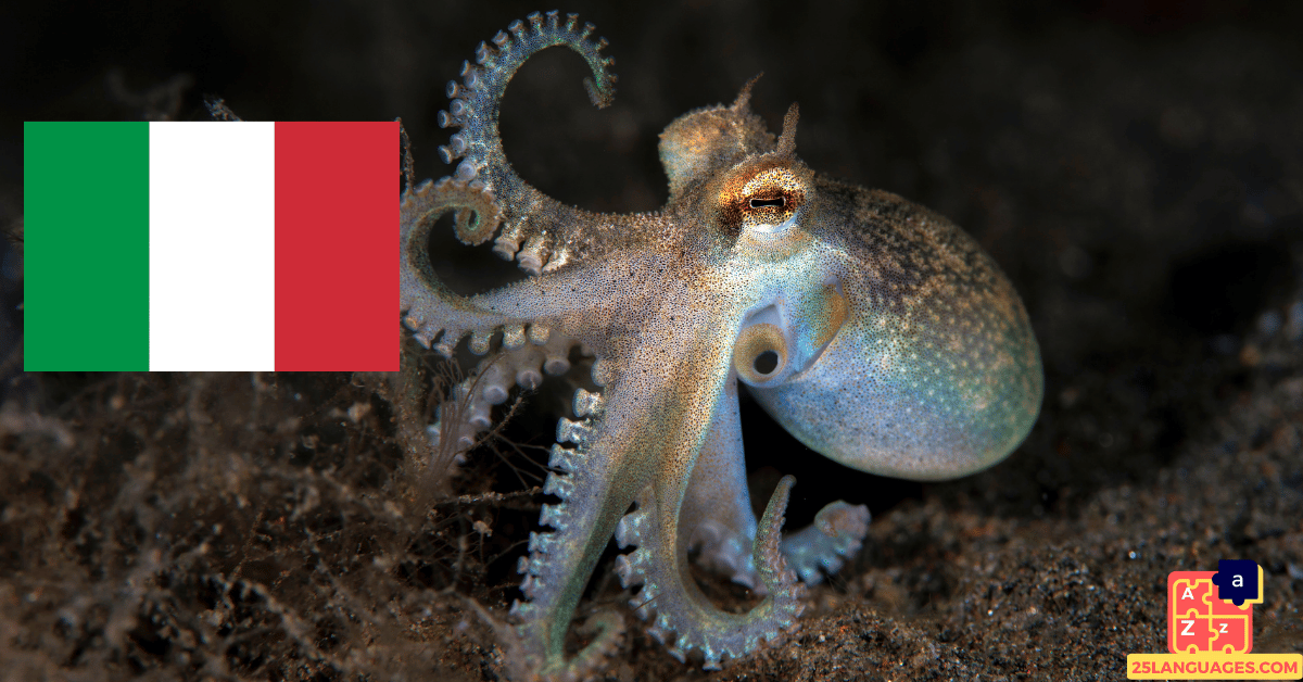 Apprendre l'italien - Noms des créatures maritimes