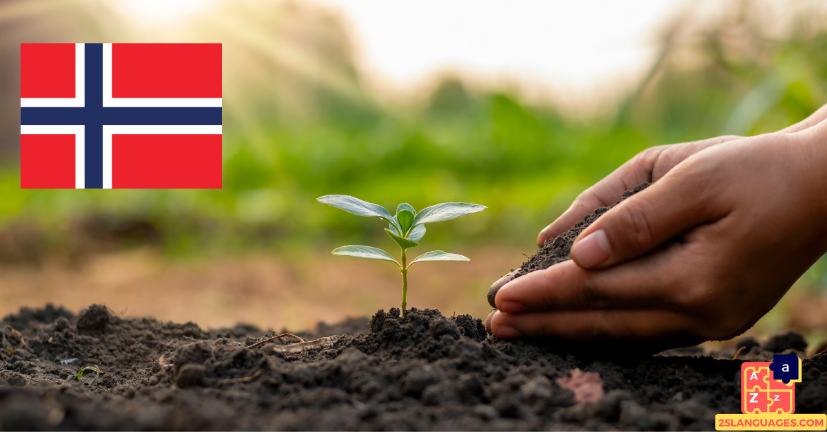 Learn Norwegian - Plants