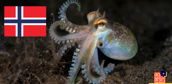 Apprendre le norvégien - Noms des créatures marines