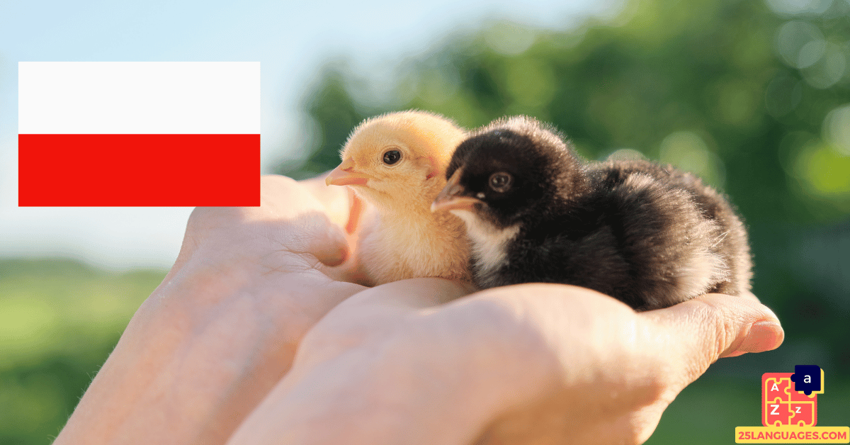Learn Polish - Names of Young Animals