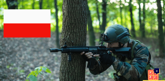 Learn Polish - Military System