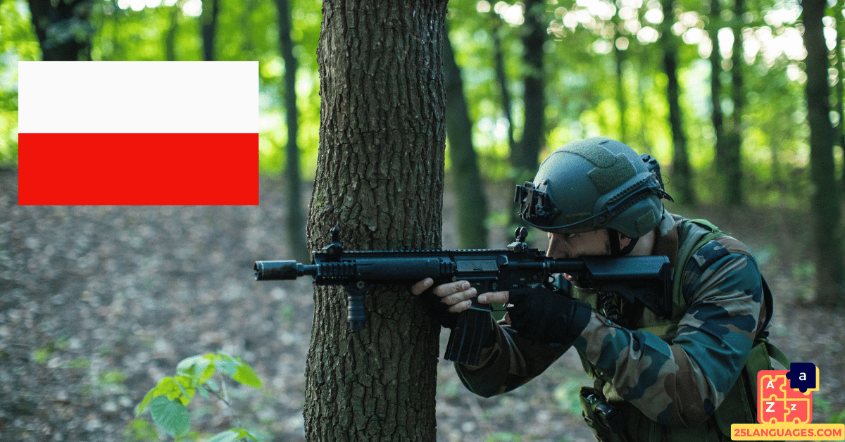 Learn Polish - Military System