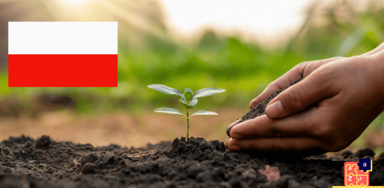 Learn Polish - Plants