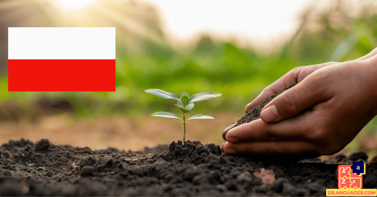 Learn Polish - Plants