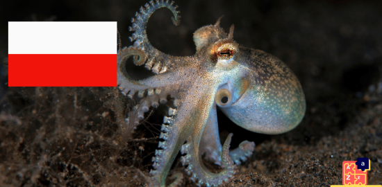 Learn Polish - Names of Marine Creatures