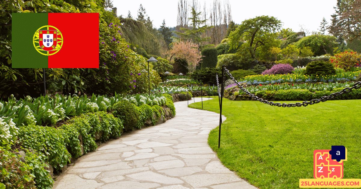 Learn Portuguese - Phrases in the park