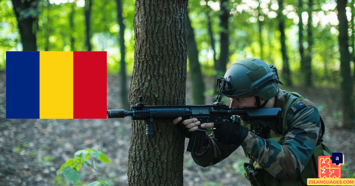 Learn Romanian - Military System