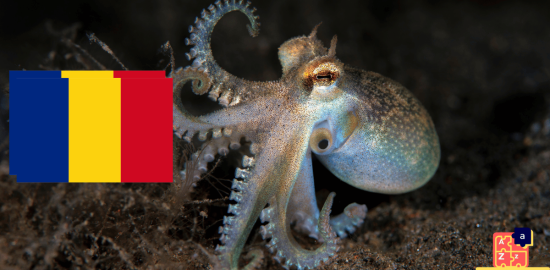 Learn Romanian - Names of Marine Creatures