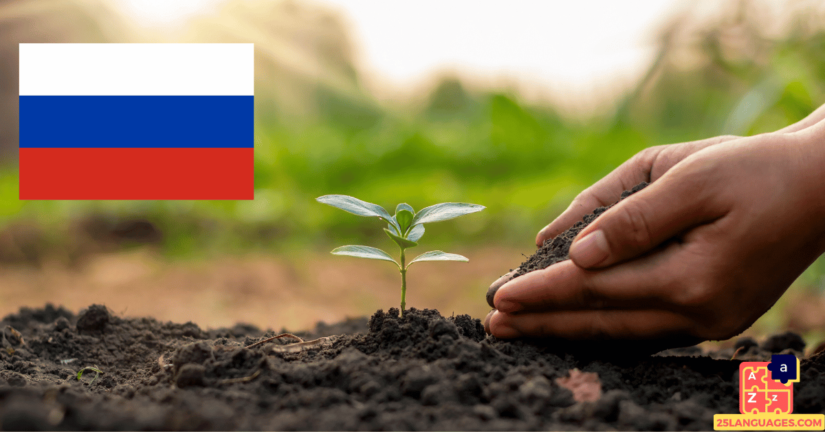 Apprendre le russe - Plantes