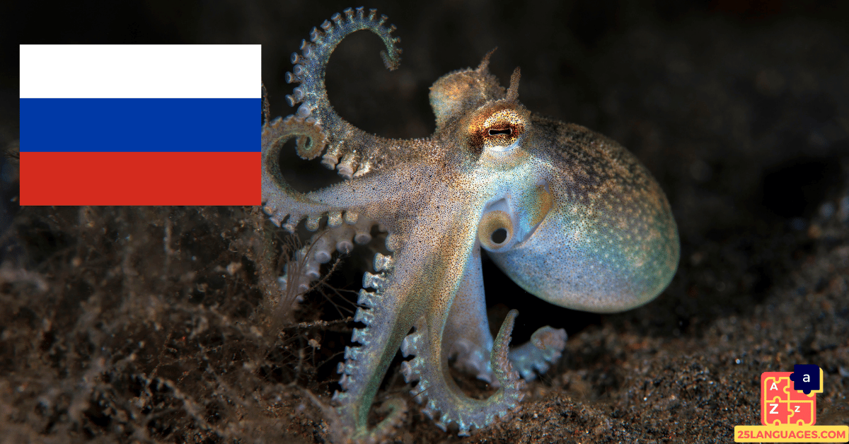 Apprendre le russe - Noms des créatures marines