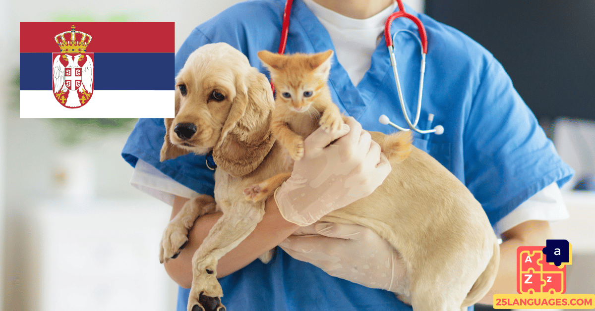 Learn Serbian - Phrases At the veterinarian