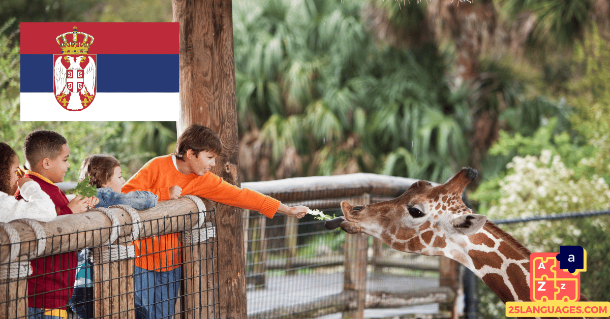 Learn Serbian - Phrases in the zoo